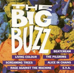 The Big Buzz