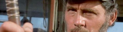 Les meilleurs films avec Robert Shaw